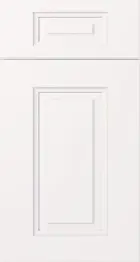 Aspen White (AW) sample door, raised panel
